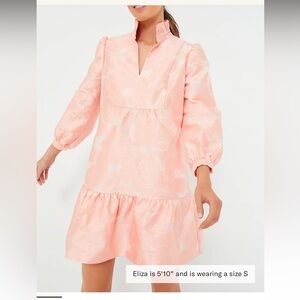 Bellini Fil Coupe Palmerston  dress